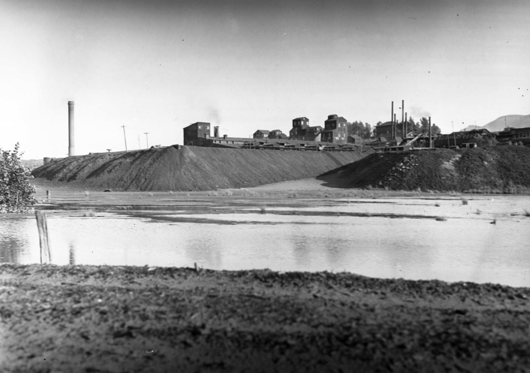 Golden Cycle Mill